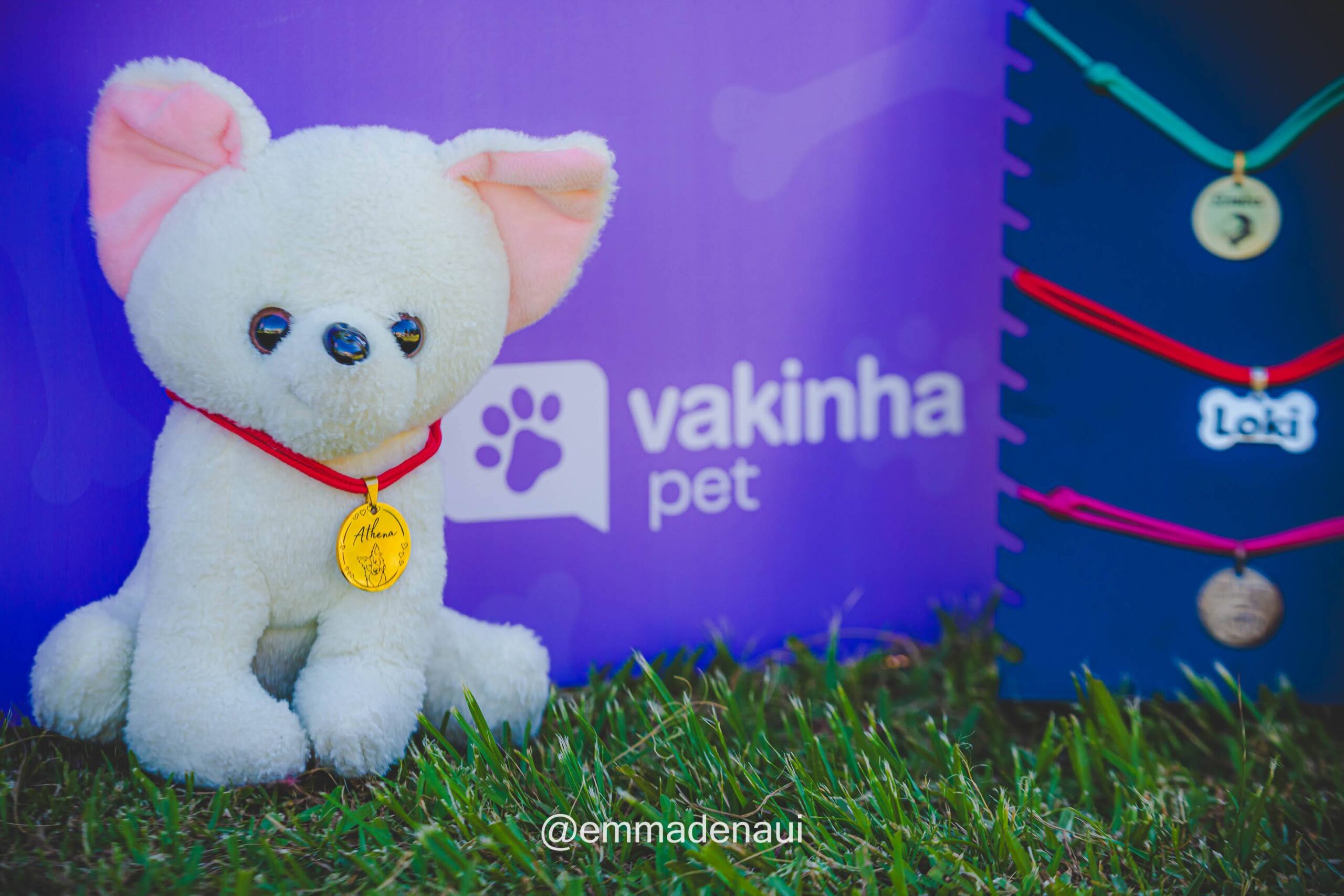 Vakinha Pet ocorreu no Parque Germânia em Porto Alegre/RS | foto: Emmanuel Denaui - @emmadenaui