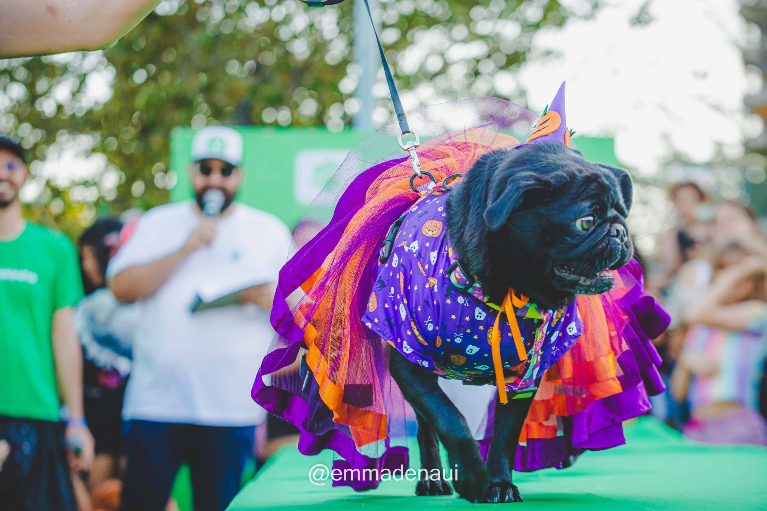 Vakinha Pet ocorreu no Parque Germânia em Porto Alegre/RS | foto: Emmanuel Denaui - @emmadenaui