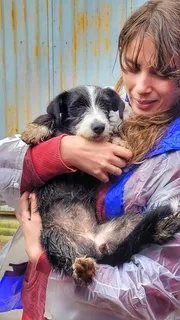 Sara acolhe um cão resgatado no início da história do Projeto Anjos de Patas.
