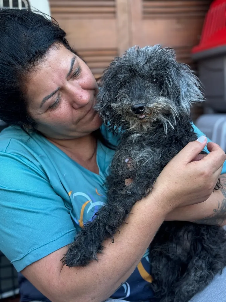 Cão acolhido recebendo carinho de voluntária do projeto.