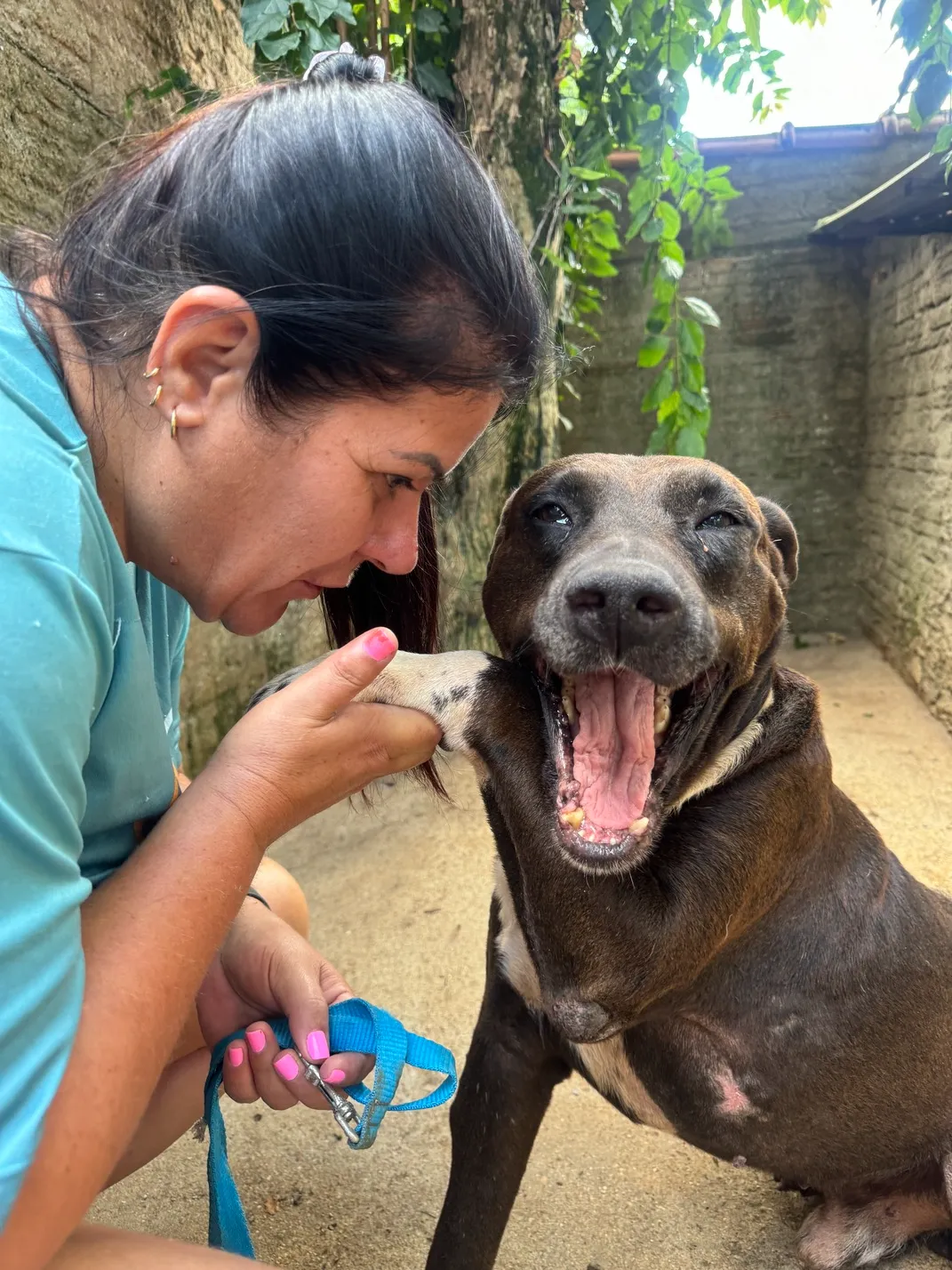 Voluntária do Projeto Anjos de Patas com cachorro resgatado durante cuidado e socialização.