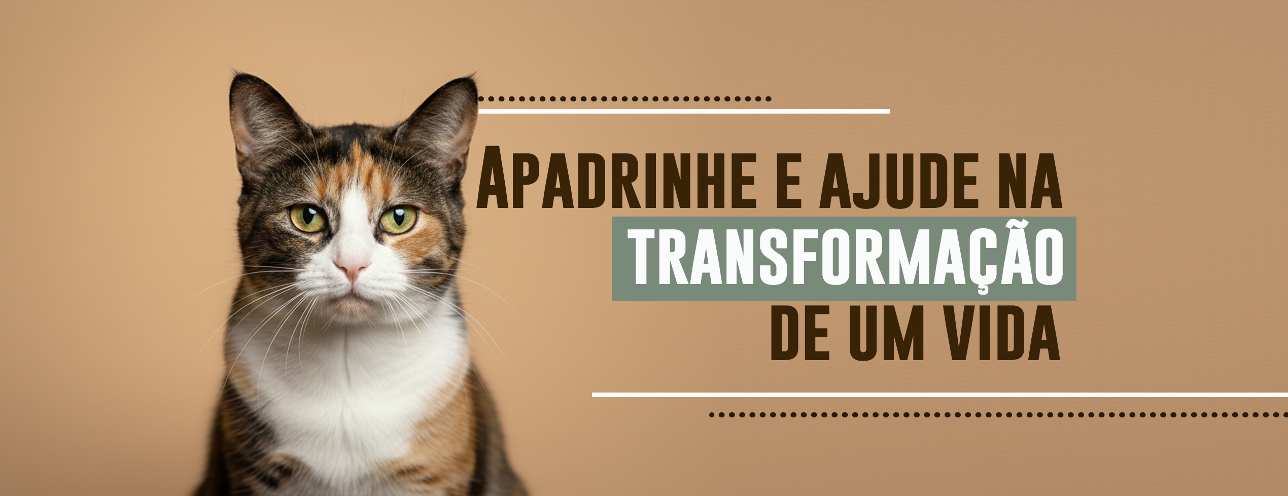 Campanha de apadrinhamento do Projeto Anjos de Patas.