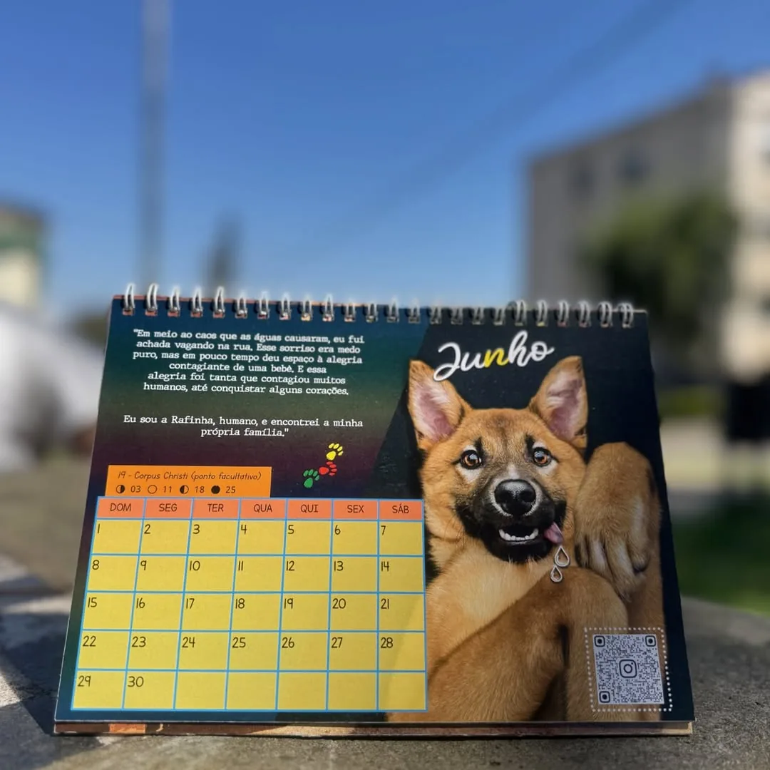 Calendários 2024 do Projeto Anjos de Patas.