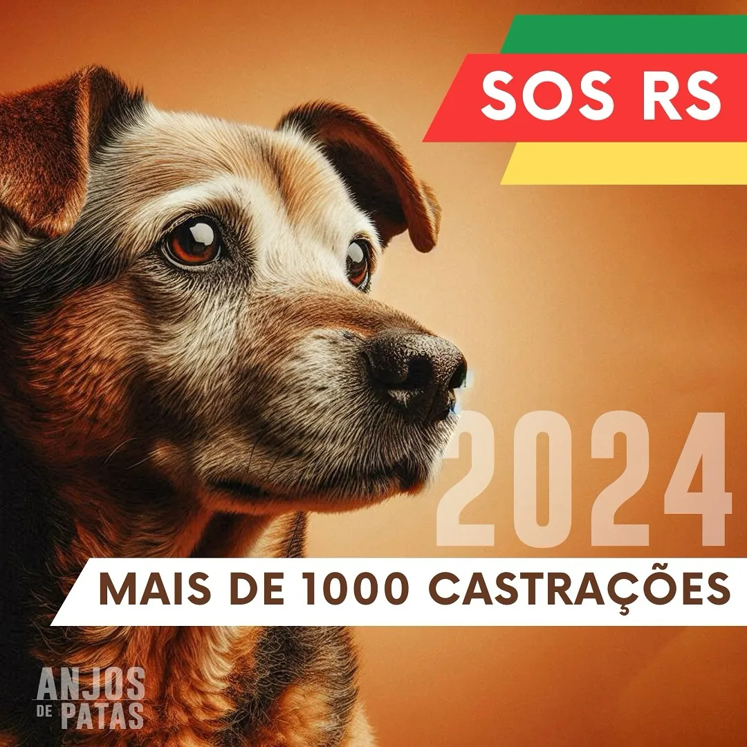 Arte da campanha SOS RS 2024 do Projeto Anjos de Patas.